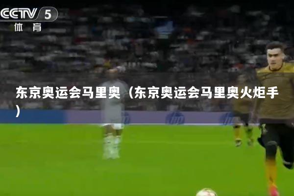 东京奥运会马里奥（东京奥运会马里奥火炬手）