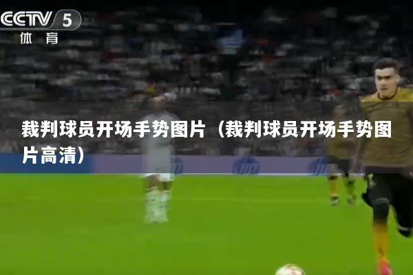 裁判球员开场手势图片（裁判球员开场手势图片高清）