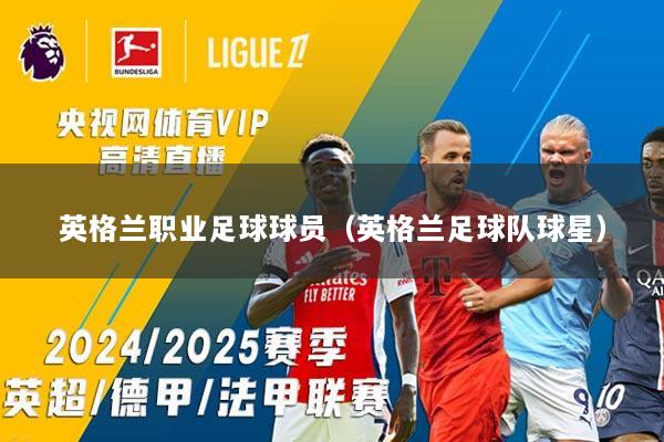 英格兰职业足球球员（英格兰足球队球星）